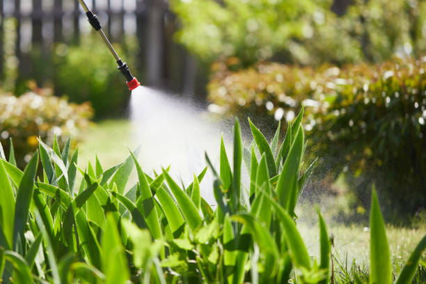 Tamper-Resistant Bait Stations for Rodents in Southworth