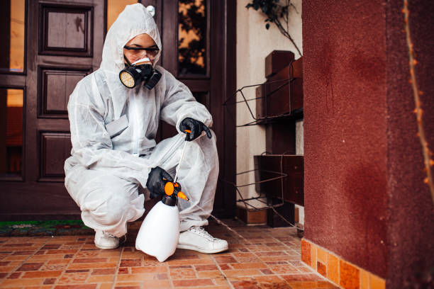 Attic and Crawl Space Rodent Treatment in Southworth